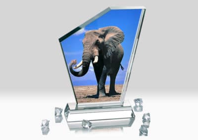 Placa Cristal Personalizata BSJ-11 Europaper Brasov Centru Copiere Printare