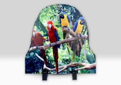 Ardezii Personalizate, Rama Foto Personalizata SH02 Europaper Brasov Centru Copiere Printare