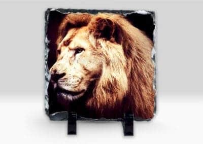 Ardezii Personalizate, Rama Foto Personalizata SH19 Europaper Brasov Centru Copiere Printare