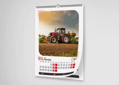 calendar de perete personalizat 12 file